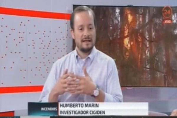 Cómo ayudar a la recuperación emocional de los afectados por los incendios?