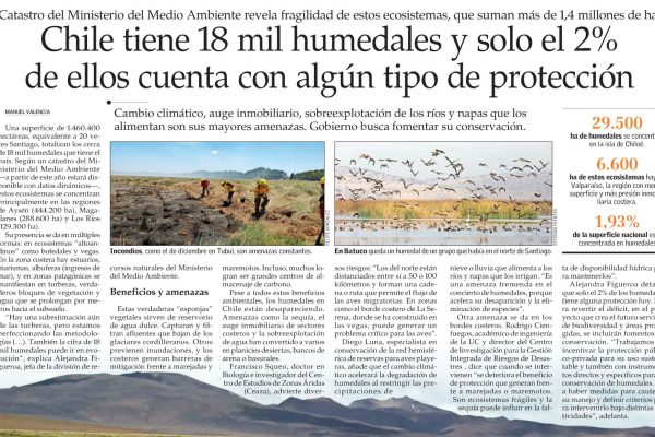 Chile tiene 18 mil humedales y solo el 2% de ellos cuenta con algún tipo de protección