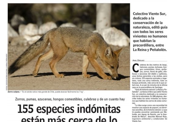155 especies indómitas están más cerca de lo que tu crees