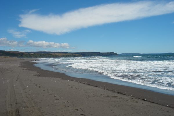 Informe científico advierte que la costa chilena requiere de urgente protección