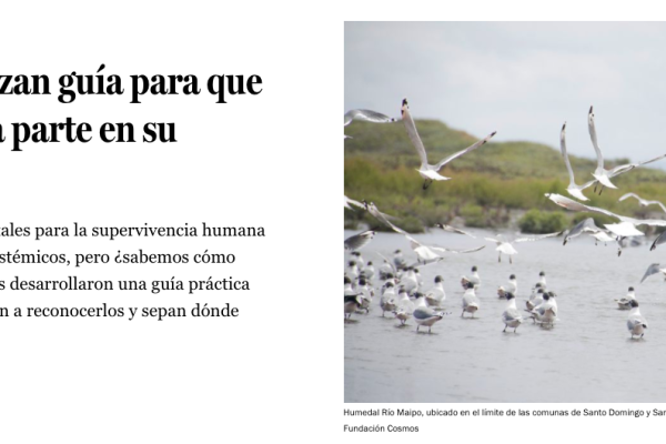 La Tercera – Humedales: Lanzan guía para que la ciudadanía sea parte en su protección