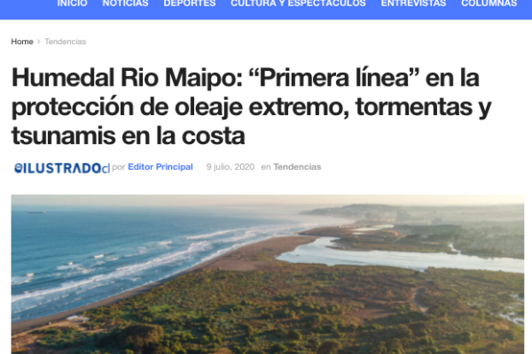 El Ilustrado: Humedal Rio Maipo: “Primera línea” en la protección de oleaje extremo, tormentas y tsunamis en la costa