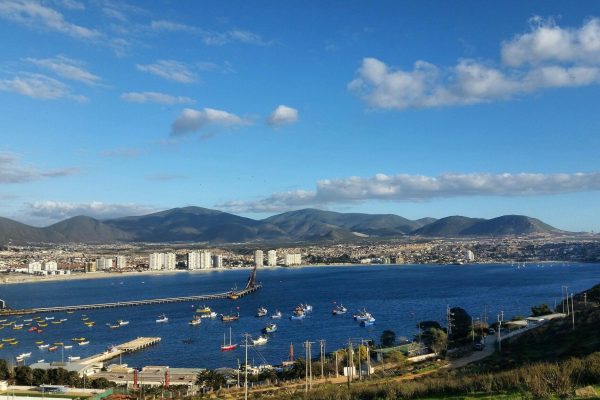 Expertos alertan sobre avanzada degradación en los ecosistemas costeros de la Región de Coquimbo