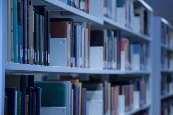 Investigadora CIGIDEN es reconocida en ranking que destaca las mejores publicaciones académicas del mundo