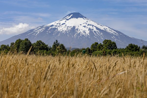 Investigadores latinoamericanos se capacitan en uso de plataforma de monitoreo satelital de volcanes creada por científicos chilenos