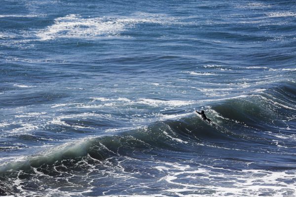 Centros ANID aúnan esfuerzos para lograr una costa resiliente y sostenible
