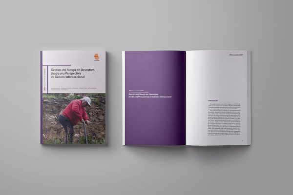 Lanzan documento que propone seis ámbitos con enfoque de género para situaciones de emergencia y desastre en Chile