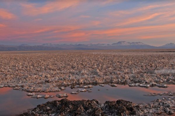 Científicos denuncian daño irreparable en los salares del norte de Chile