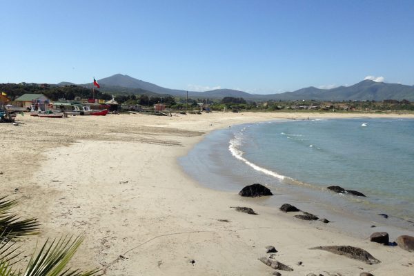 Científicos chilenos estudiarán en profundidad la evolución de los tsunamis al interior de las bahías