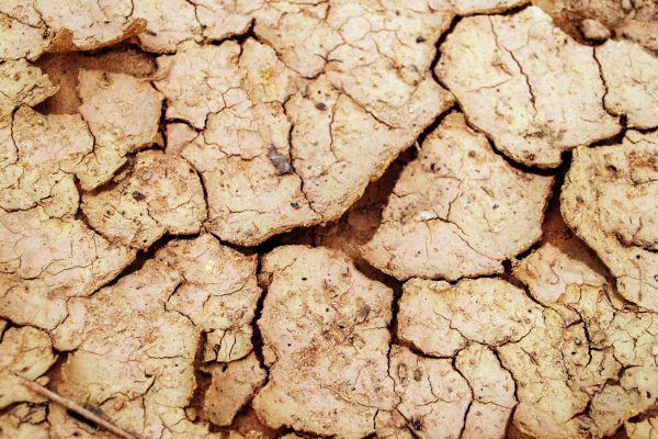 ¿Cómo impulsar acciones climáticas sustentables  en el contexto del cambio climático?