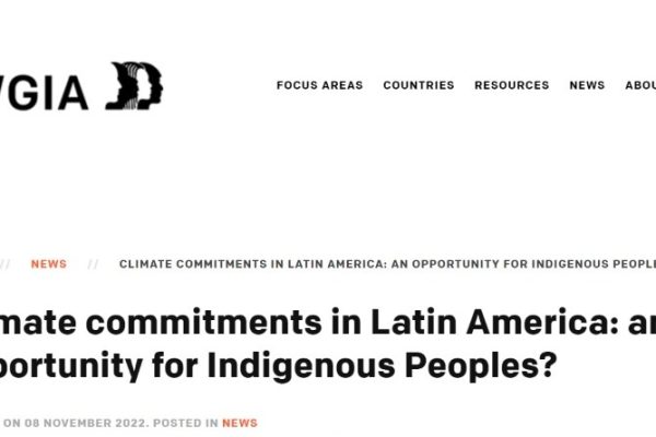 Iwgia.org | Climate commitments in Latin America: an opportunity for Indigenous Peoples?