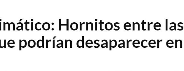 El Diario de Antofagasta | Cambio climático: Hornitos entre las 10 playas de Chile que podrían desaparecer en la próxima década