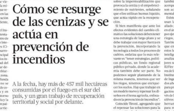 PULSO | Cómo se resurge de las cenizas y se actúa en prevención de incendios