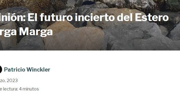 Ladera Sur | Opinión: El futuro incierto del Estero Marga Marga