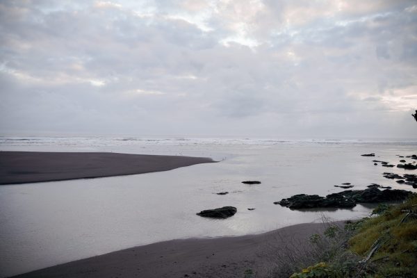 Cierre de desembocaduras de ríos: el colapso de los ecosistemas costeros en Chile
