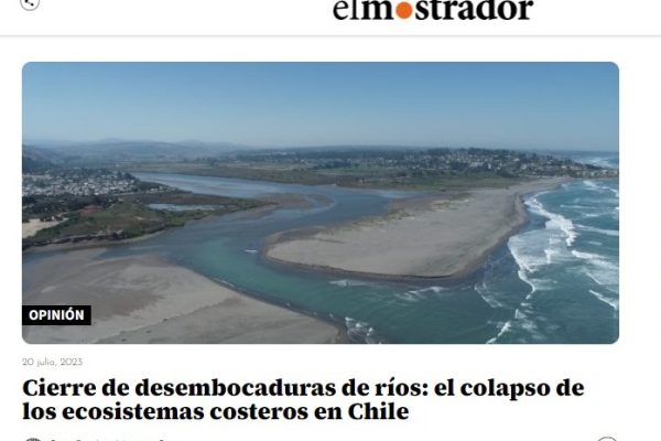 El Mostrador | Cierre de desembocaduras de ríos: el colapso de los ecosistemas costeros en Chile