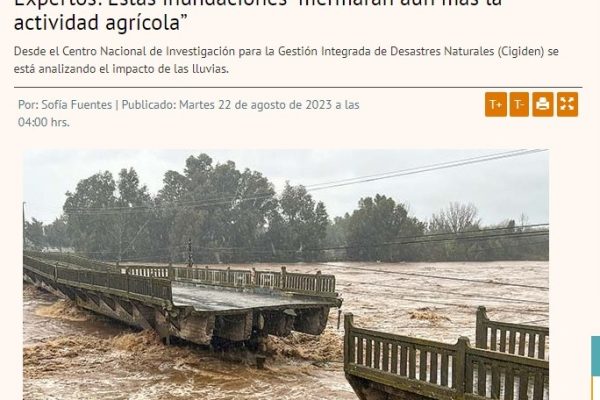 Diario Financiero | Expertos: Estas inundaciones “mermarán aún más la actividad agrícola”