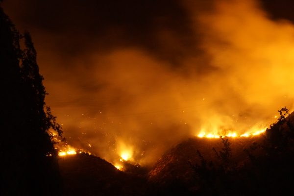 Seminario abordará estrategias para gestionar el riesgo de incendio forestal en la zona rural-urbana