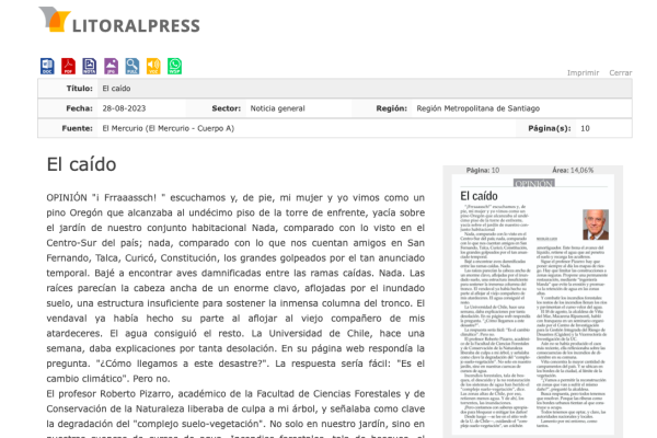 Litoralpress | El caído