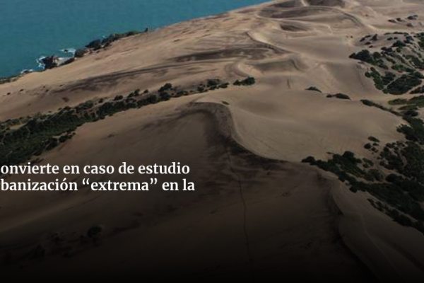 Ciencia en Chile | Edificio Kandinsky se convierte en caso de estudio sobre impactos de la urbanización “extrema” en la costa