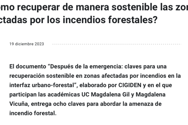 Noticias UC | ¿Cómo recuperar de manera sostenible las zonas afectadas por los incendios forestales?