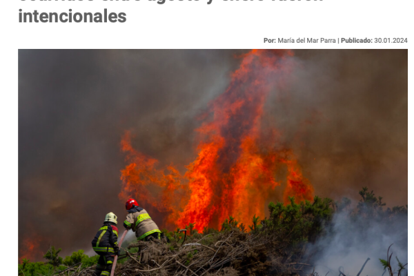 El Desconcierto | Conaf revela que 30% de los incendios ocurridos entre agosto y enero fueron intencionales