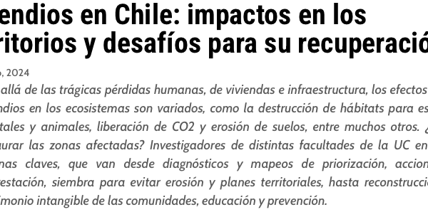 Ad Prensa | Incendios en Chile: impactos en los territorios y desafíos para su recuperación