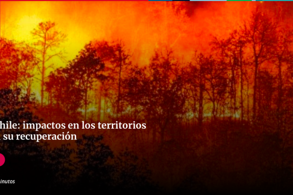 Ciencia en Chile | Incendios en Chile: impactos en los territorios y desafíos para su recuperación