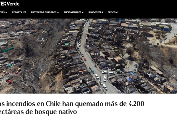 EFE Verde | Los incendios en Chile han quemado más de 4.200 hectáreas de bosque nativo