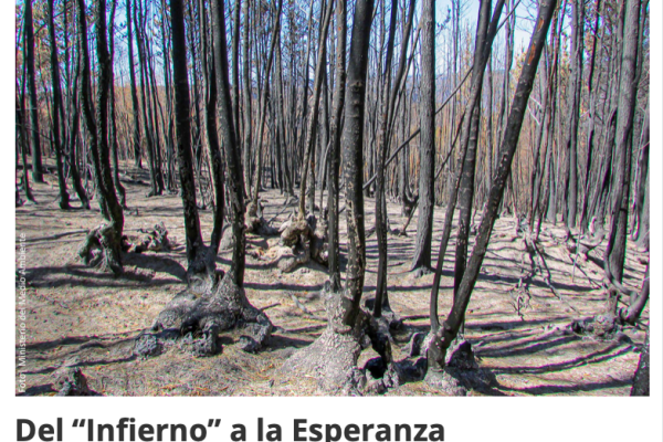 Induambiente | Del “Infierno” a la Esperanza