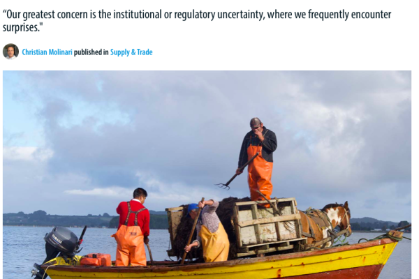Seafood Source | Chile’s Lafkenche Law requires urgent changes, salmon execs caution