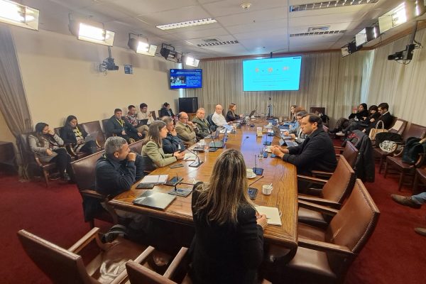 Expertos de CIGIDEN fueron invitados a sesiones de la Comisión Especial Investigadora en torno a los incendios ocurridos en Valparaíso durante el verano