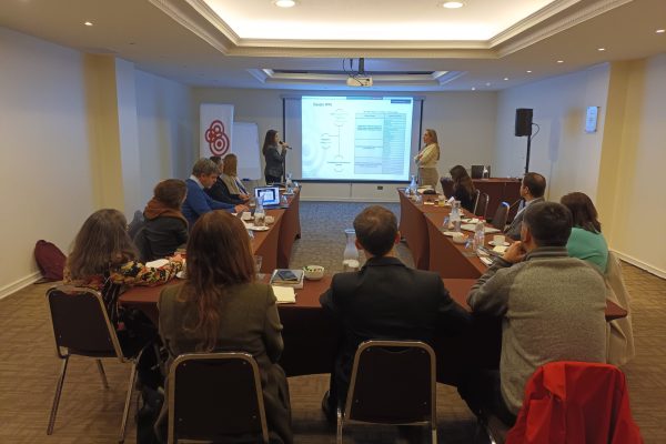 CIGIDEN presenta avances interdisciplinarios al Comité Asesor Nacional