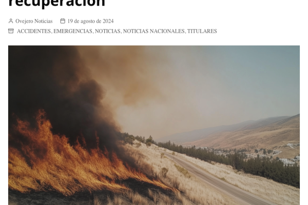 Ovejero Noticias | CIGIDEN presenta estudio sobre impacto de incendios forestales y su recuperación