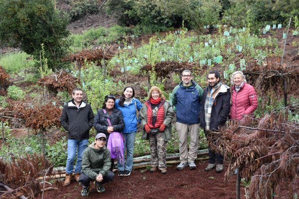 La importancia de la restauración del paisaje post-incendios a través del trabajo comunitario