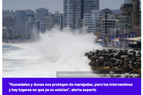 El Desconcierto | “Humedales y dunas nos protegen de marejadas, pero los intervenimos y hay lugares en que ya no existen”, alerta experto
