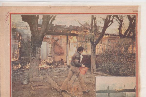 Después del incendio: reflexiones artísticas sobre los incendios en Chile se exhiben en la galería de arte de SENAPRED