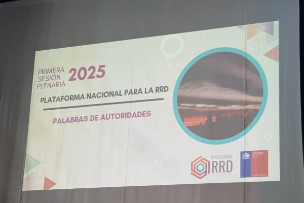 Representantes de CIGIDEN participaron de la primera sesión plenaria de la Plataforma Nacional para la Reducción del Riesgo de Desastres