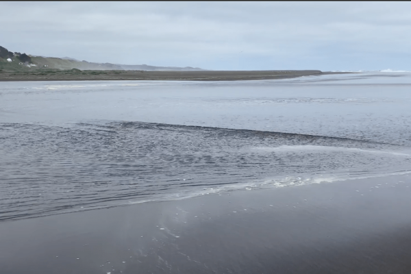Investigadores de CIGIDEN observan en Laguna Cáhuil por primera vez un “Gas de Solitones” en la naturaleza