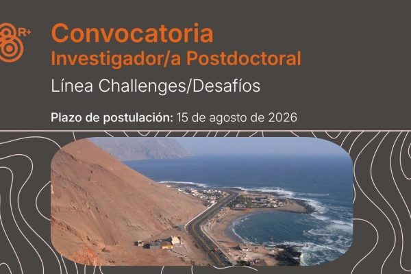 Convocatoria Investigador/a Postdoctoral. Línea Challenges/Desafíos